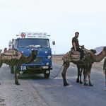 Unic von LAO Markenvielfalt Schweiz LKW TIR transNews