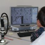 Panolin Madetswil Schmierstoffe TIR transNews