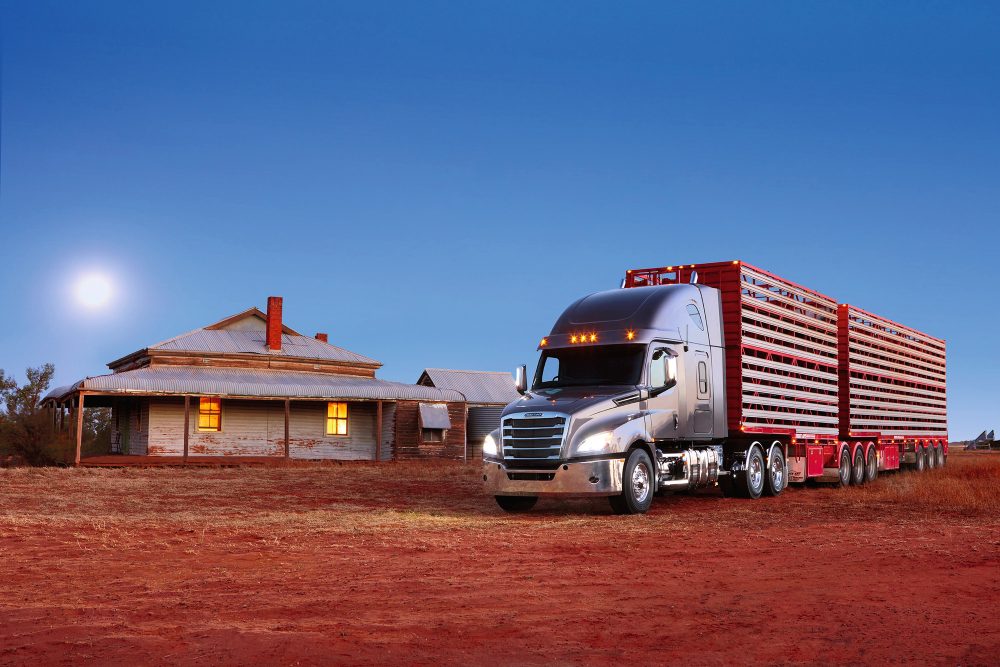 Daimler Freightliner Cascadia Australien TIR transNews